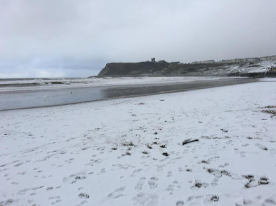 The North Bay Hideaway, Scarborough Apartment Екстериор снимка